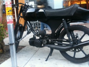 black-puch-300x225.jpg